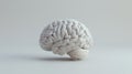 A White 3D Brain Model.AI generated image Royalty Free Stock Photo