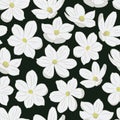 White daffodil bloom seamless vector pattern on black background. Narcissus spring flowers. Royalty Free Stock Photo