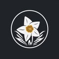 White Daffodil Logo In Egyptian-inspired Style