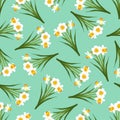 White Daffodil - Narcissus Seamless on Green Mint Background. Vector Illustration