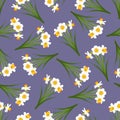 White Daffodil - Narcissus Seamless on Purple Background. Vector Illustration