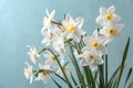 White daffodils on a light blue sky background Royalty Free Stock Photo