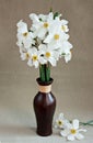 White daffodils in a vase