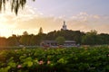 The White Dagoba on Qionghua Island Royalty Free Stock Photo