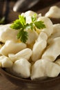 White Dairy Cheese Curds Royalty Free Stock Photo