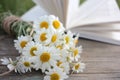 White daisies bouquet on a wooden table on a blurred open book background. Dreamy summer outdoor still life Royalty Free Stock Photo