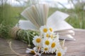 White daisies bouquet on a wooden table on a blurred open book background. Dreamy summer outdoor still life Royalty Free Stock Photo