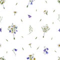 White daisies, campanula, wild herbs. Floral wedding bouquets with white satin ribbon. Seamless pattern. Lovely