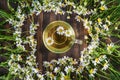 White daisies and cup of camomile tea on brown wooden background Royalty Free Stock Photo