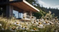 White Daisies In A Field With A Wood House - Norman Foster Style