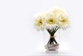 white daisy bouquet in glass vase Royalty Free Stock Photo