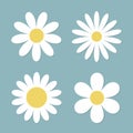 White daisy chamomile flower round icon set. Camomile petal. Cute plant collection. Love card. Growing concept. Happy Valentines Royalty Free Stock Photo