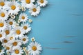 white daisy chamomile flowers frame on blue wooden background top view, beautiful floral template with copy space Royalty Free Stock Photo
