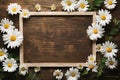 white daisy chamomile flowers with frame on wooden background top view, beautiful floral template with copy space Royalty Free Stock Photo