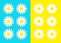 White Daisy Chamomile Icon Set. Cute Flower Plant Collection. Love Card. Camomile Growing Concept. Flat Design. Bright Blue Yellow