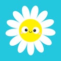 White daisy chamomile with smiling face head. Cute flower plant collection. Love card. Cute cartoon funny character. Camomile icon