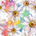 White daisy floral botanical flower. Watercolor background illustration set. Seamless background pattern.