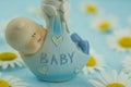 White daisy flower on blue background with baby boy statue