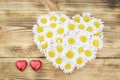 White daisy flower in heart shaped and red heart chocolates