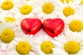 White daisy flower on pink background  and red heart Royalty Free Stock Photo