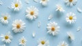 The White Daisy Flowers.AI generated image Royalty Free Stock Photo