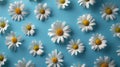 White Daisy Flowers Arranged On A Soft Blue Background. Fresh Spring Pastel Pattern. AI Generated Royalty Free Stock Photo