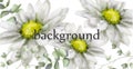 White daisy flowers background watercolor Vector. Beautiful vintage pastel colors floral decor banners Royalty Free Stock Photo