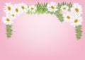 White daisy flowers with fern for frame or background vector Royalty Free Stock Photo