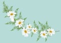 White daisy flowers with fern for frame or background vector Royalty Free Stock Photo