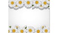 White daisy flowers forming a decorative border at the and bottom of a clean white background Royalty Free Stock Photo