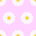 White daisy flowers on pink background seamless pattern. Royalty Free Stock Photo