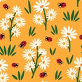 cute white daisy flowers and red ladybugs seamless vector pattern illustration on yellow background Royalty Free Stock Photo