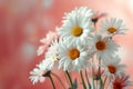 White daisy Flowers in vase on white cloth against pink backdrop.aigenerative