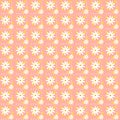 White daisy pattern, orange background, polka dots, seamless picture