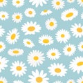 White daisy seamless pattern. Chamomile season fabric print. Decorative flower template, floral nature bouquet vector