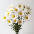 White Daisy Vase: Stunning Focus Stacking Floral Arrangement