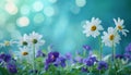 White daisy and violet flowers with a blue natural background Royalty Free Stock Photo