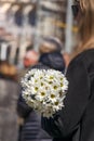 White daisys Royalty Free Stock Photo