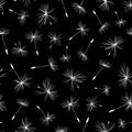 White Dandelion seeds on black background seamless vector repeat pattern Royalty Free Stock Photo