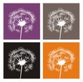White dandelion silhouettes on colorful background