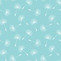 white dandelions seed floral fluff pattern on a light blue background seamless vector Royalty Free Stock Photo