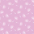 white dandelions seed floral fluff pattern on a light pink background seamless vector Royalty Free Stock Photo