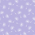 white dandelions seed floral fluff pattern on a light purple background seamless vector Royalty Free Stock Photo