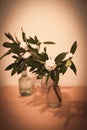 White daphne flower Royalty Free Stock Photo