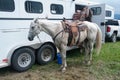 White Dappled Horse near trailer