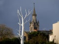 White dead tree in front of bell tower