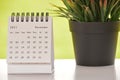 White December 2021 calendar with green backgrounds and potted plant Royalty Free Stock Photo