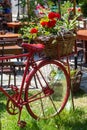 White decorative old bike with a basket of flowers against a brick wall. Copy space Royalty Free Stock Photo