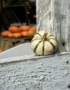 Decorative pumpkin sitting on ledge Royalty Free Stock Photo