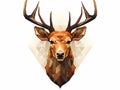 Low Poly Deer Head Royalty Free Stock Photo